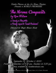 The Norma Conquests poster